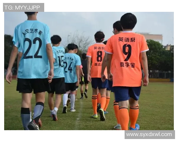 马里国家足球球星的辉煌历程与非洲绿茵场上的光荣梦想